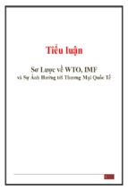 Tiểu luận sơ lược về wto, imf và sự ảnh hưởng tới thương mại quốc tế