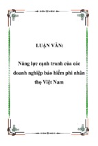 Năng lực cạnh tranh của các doanh nghiệp bảo hiểm phi nhân thọ việt nam