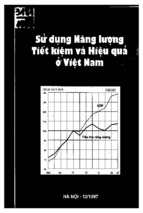 đề tài sử dụng năng lượng tiết kiệm và hiệu quả ở việt nam