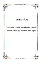 Phát triển và phát huy tiềm lực của các dnvvn trên địa bàn tỉnh bình định