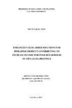 Enhanced value added solutions for pineapple product contributing to increase income for poor households in tien giang province