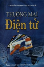 Thương mại điện tử  nguyễn hoài anh, ao thu hoài