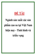 Ngành sản xuất các sản phẩm cao su tại việt nam hiện nay   tình hình và triển vọng