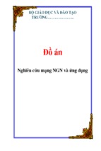 Nghiên cứu mạng ngn và ứng dụng