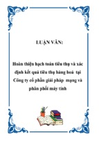 Hoàn thiện hạch toán tiêu thụ và xác định kết quả tiêu thụ hàng hoá tại công ty cổ phần giải pháp mạng và phân phối máy tính