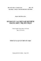 đánh giá vai trò nội soi mềm trong điều trị sỏi thận