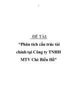 đề tài phân tích cấu trúc tài chính tại công ty tnhh mtv chè biển hồ