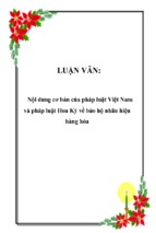 Nội dung cơ bản của pháp luật việt nam và pháp luật hoa kỳ về bảo hộ nhãn hiệu hàng hóa