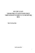 Tiểu luận ảnh hưởng của dân số đến phát triển kinh tế xã hội và vấn đề đô thị hóa