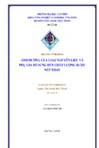 ảnh hưởng của loại nguyên liệu và phụ gia bổ sung đến chất lượng rượu nếp than