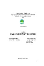 Cây sinh dòng virus prrs