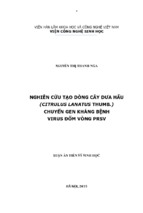 Luận án tiến sĩ  nghiên cứu tạo dòng cây dưa hấu (citrulus lanatus thumb.) chuyển gen kháng bệnh virus đốm vòng prsv