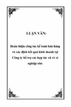 Hoàn thiện công tác kế toán bán hàng và xác định kết quả kinh doanh tại công ty hỗ trợ các hợp tác xã và xí nghiệp nhỏ