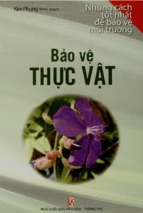 Bảo vệ thực vật  kim phụng (biên soạn)