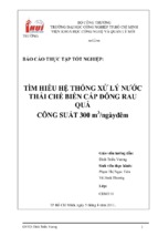 Tìm hiểu hệ thống xử lý nước thải chế biến cấp đông rau quả công suất 300 m3 ngàyđêm