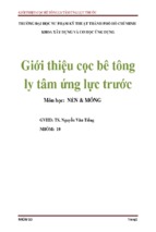 Tiểu luận giới thiệu cọc bê tông ly tâm ứng lực trước