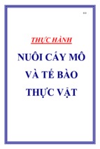 Thực hành nuôi cấy mô và tế bào thực vật