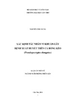 Xác định tác nhân vi khuẩn gây bệnh xuất huyết trên cá bống kèo (pseudapocryptes elongatus)