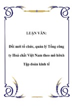 Luận văn đổi mới tổ chức, quản lý tổng công ty hoá chất việt nam theo mô hỡnh tập đoàn kinh tế 0