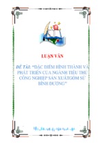 Luận văn đặc điểm hình thành và phát triển của ngành tiểu thủ công nghiệp sản xuất gốm sứ bình dương