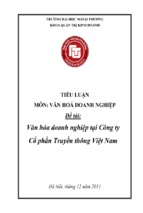 Văn hóa doanh nghiệp tại công ty cổ phần truyền thông việt nam