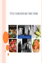 Công nghệ sinh học thực phẩm đỗ lê hữu nam 