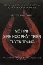 Mô hình sinh học phát triển tuyến trùng  nguyễn ngọc châu