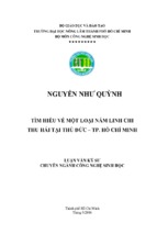 Tìm hiểu về một loại nấm linh chi thu hái tại thủ đức – tp. hồ chí minh