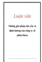 Những giải pháp chủ yếu và định hướng của công ty cổ phần fintec