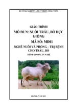 giáo trình nuôi trâu bò giống