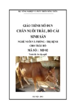 giáo trình nuôi trâu bò cái sinh sản