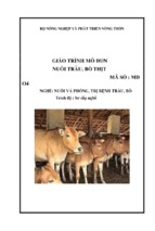Giao trinh md04   nuôi trâu bò thịt