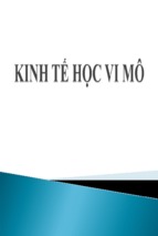 Kinh tế học vi mô