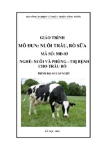 giáo trình nuôi trâu bò sữa