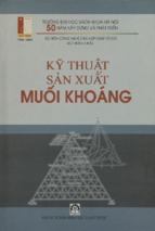 Kỹ thuật sản xuất muối khoáng  bùi song châu