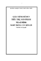 giáo trình tiêu thụ sản phẩm cây bời lời