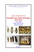 Gt modun 01   tìm hiểu các đặc điểm của ong mật
