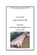 Gt mo dun 05   nuôi lợn thịt