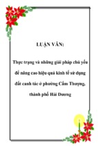 Thực trạng và những giải pháp chủ yếu để nâng cao hiệu quả kinh tế sử dụng đất canh tác ở phường cẩm thượng, thành phố hải dương