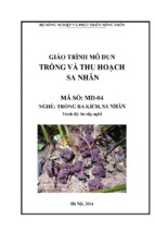 Giáo trình md 04   trồng và thu hoạch sa nhân