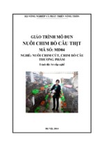 Giao trinh md04   nuôi bồ câu thịt