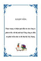 Thực trạng và hiệu quả đầu tư của công ty phát triển đô thị mới tại tổng công ty đầu tư phát triển nhà và đô thị bộ xây dựng