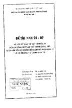 Về tiền đề _cần_ và _đủ_ và bước đi để đưa đồng việt nam trở thành đồng tiền tự do chuyển đổi trong bối cảnh hội nhập kinh tế và thị trường tài chính quốc tế