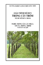 Giáo trình md04 trồng cây trôm