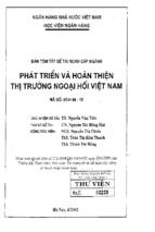 Phát triển và hoàn thiện thị trường ngoại hối việt nam