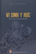 Vi sinh y học  dùng cho đào tạo cử nhân điều dưỡng  lê thị oanh (chủ biên), nguyễn văn dịp