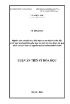 Luận án tiến sĩ hóa học nghiên cứu chuyển hóa dầu hạt cao su thành nhiên liệu sinh học biodiesel bằng hệ xúc tác axit rắn thu được từ quá trình cacbon hóa các nguồn hydratcacbon thiên nhiên