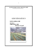 giáo trình nhân giống chè