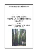 Gt mo dun 01   trồng và chăm sóc rừng