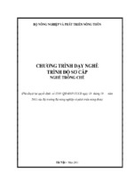 chương trình dạy nghề trồng chè